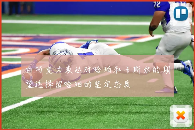 白巧克力表达对哈珀和卡斯尔的期望选择留哈珀的坚定态度