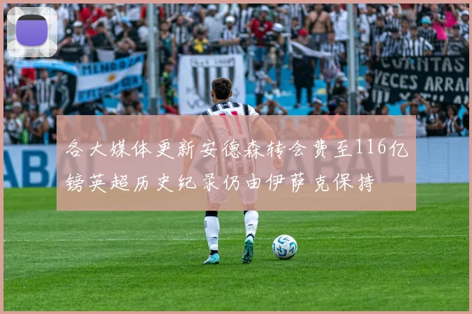 各大媒体更新安德森转会费至116亿镑英超历史纪录仍由伊萨克保持