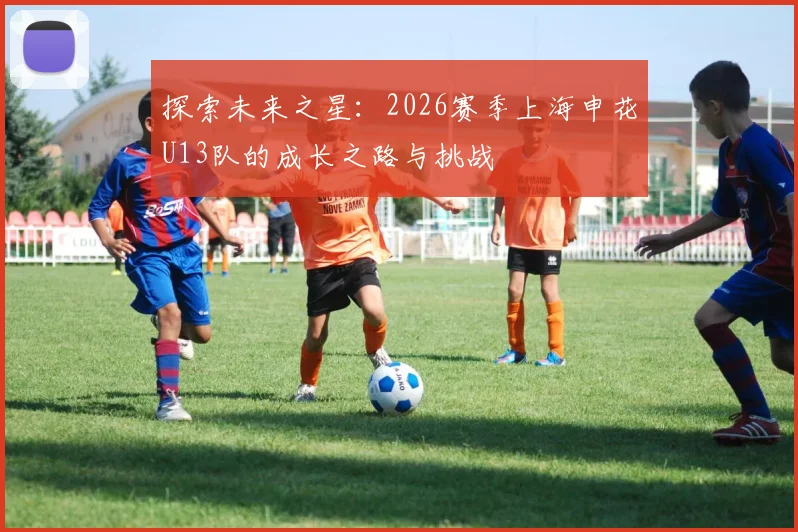 探索未来之星：2026赛季上海申花U13队的成长之路与挑战